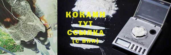 дурь Няндома