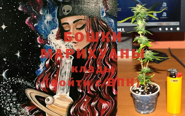спайс Белокуриха