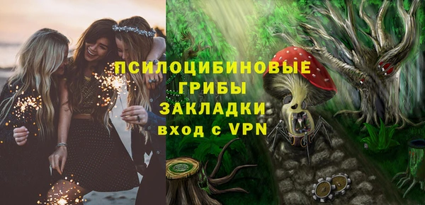дурь Няндома