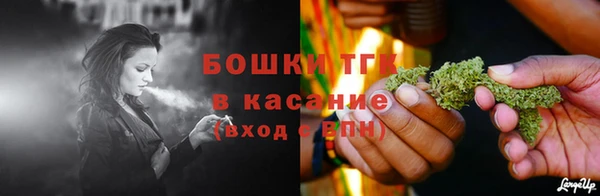 дурь Няндома
