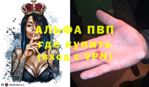 дурь Няндома